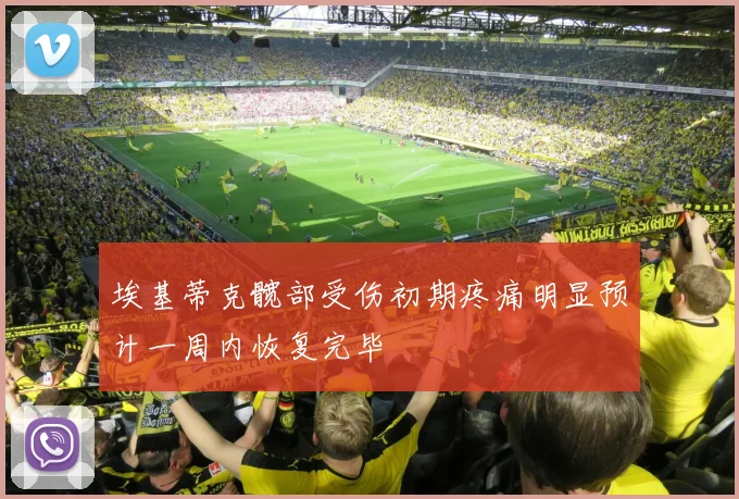 埃基蒂克髋部受伤初期疼痛明显预计一周内恢复完毕